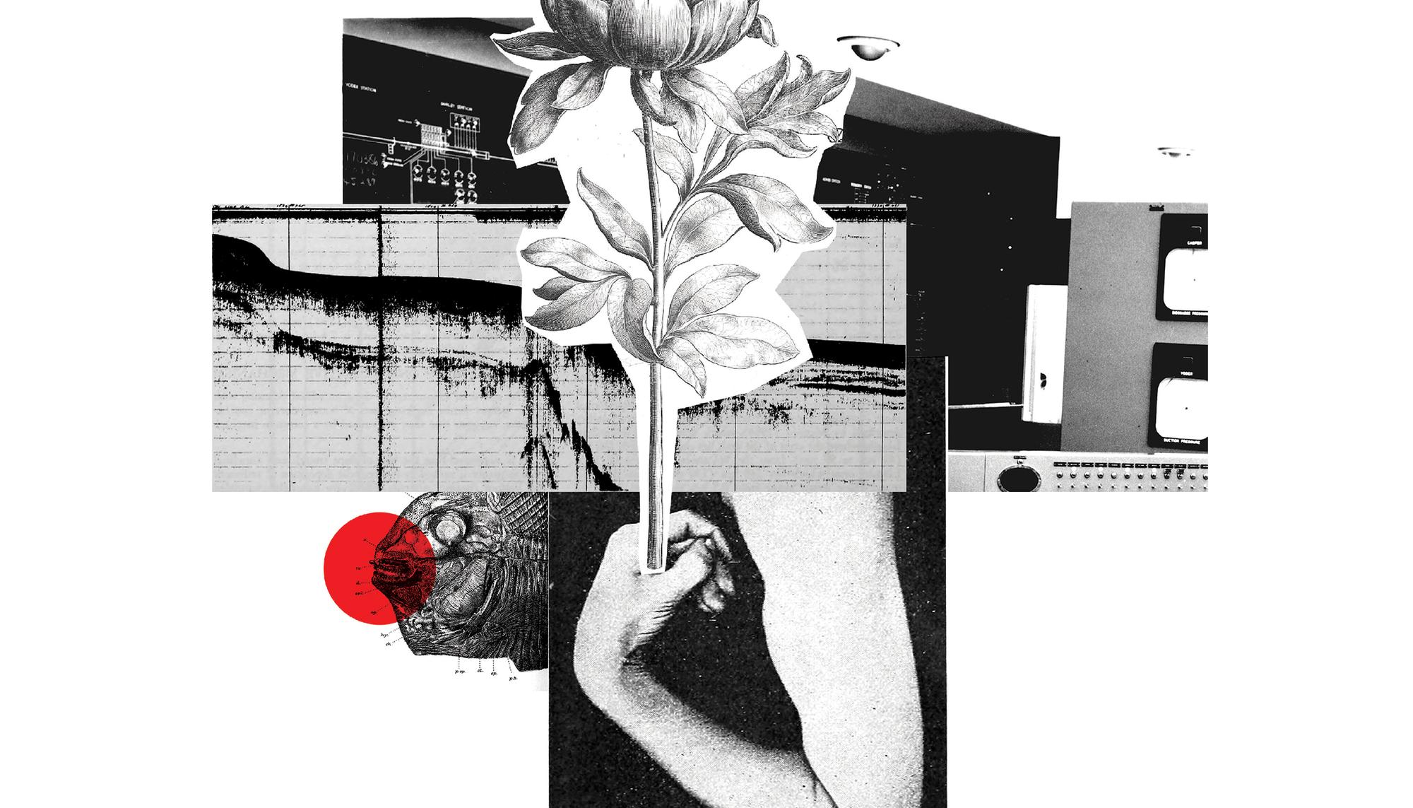 Se ofrece empleo: Razón, crisis climática 01